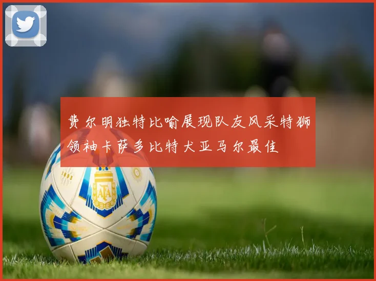 费尔明独特比喻展现队友风采特狮领袖卡萨多比特犬亚马尔最佳